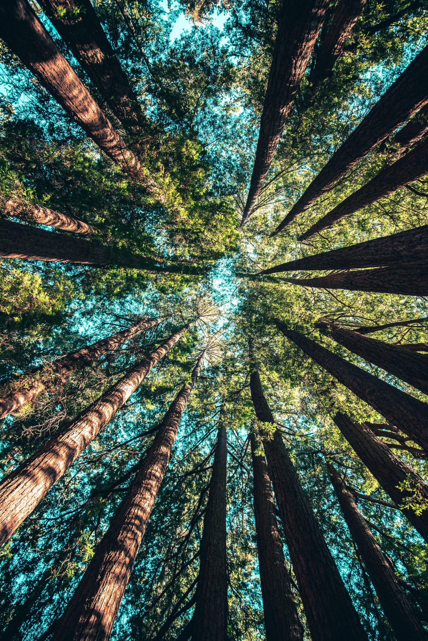 podcast-investigating-greenwashing-main-original-scaled-1